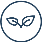 An icon depicting two leaf shapes inside a circle, symbolizing natural wellness for Happy V supplements.