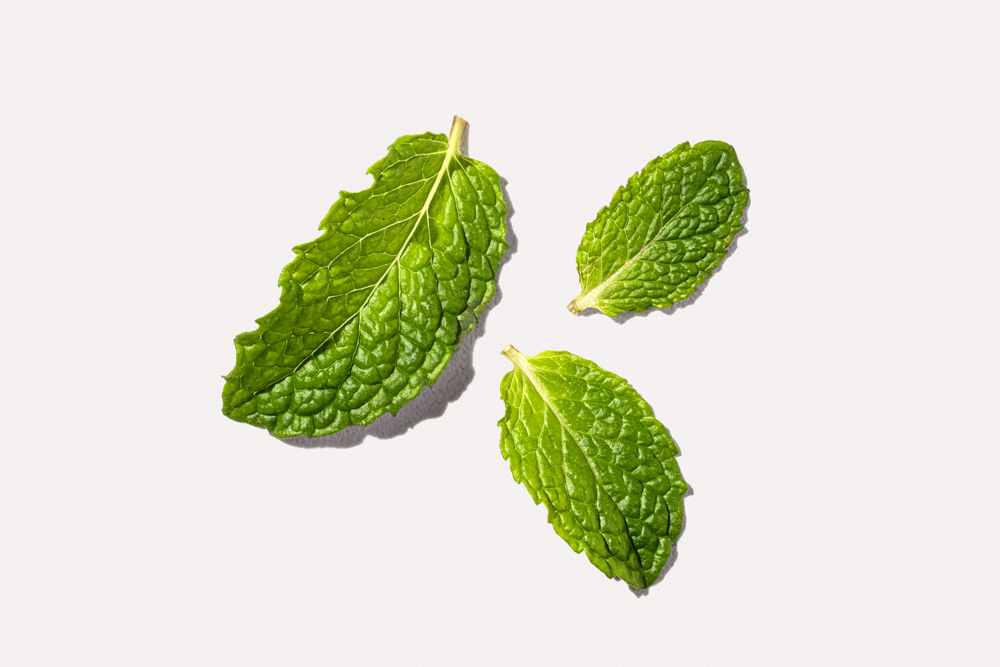 Three fresh mint leaves on a light background, symbolizing natural ingredients in Happy V supplements.
